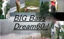 BIG_Bass_Dream60