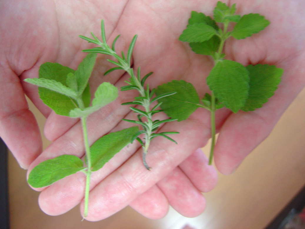 �x�W�^�u���L�b�`��