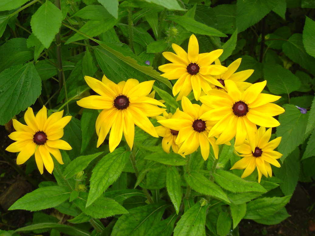 �x�W�^�u���L�b�`��