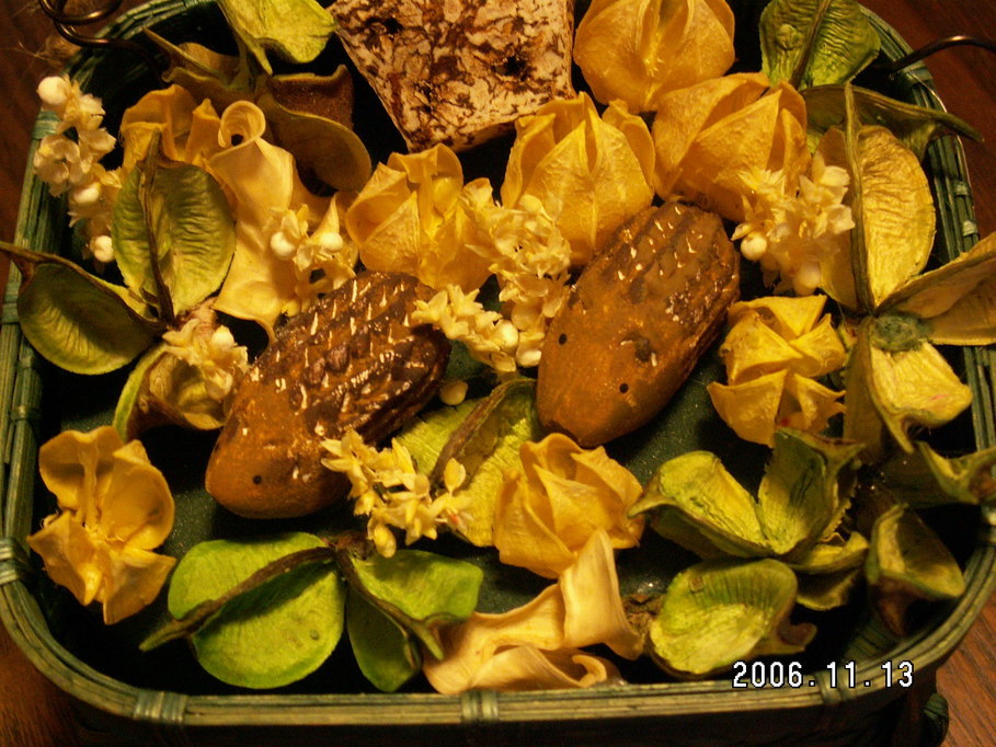 �z�V�эH�[�@��X-juju-