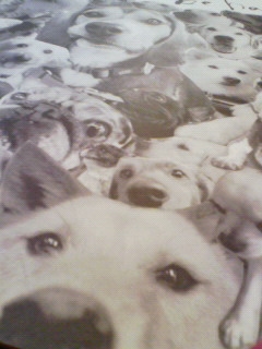 �i�`�b�j�f�`�h�m