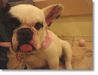 �i�`�b�j�f�`�h�m