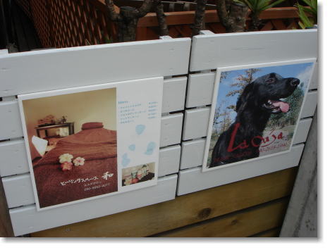 �i�`�b�j�f�`�h�m