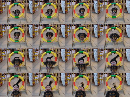 �i�`�b�j�f�`�h�m