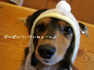 �i�`�b�j�f�`�h�m