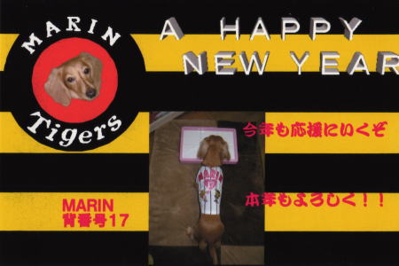 �i�`�b�j�f�`�h�m