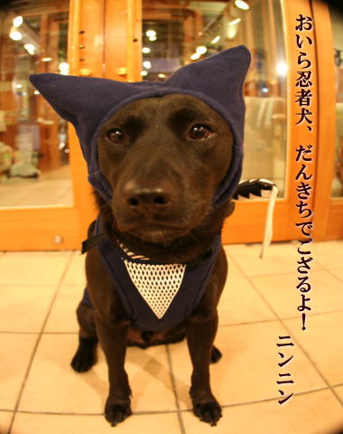 �i�`�b�j�f�`�h�m