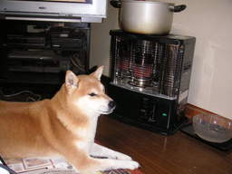 �U�O�㍟�ꂩ��P�T�N