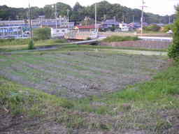 �U�O�㍟�ꂩ��P�T�N