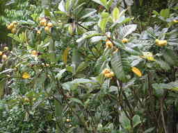 �U�O�㍟�ꂩ��P�T�N