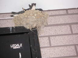 �U�O�㍟�ꂩ��P�T�N