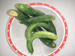 �U�O�㍟�ꂩ��P�T�N