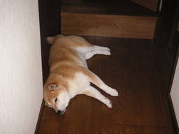 �U�O�㍟�ꂩ��P�T�N