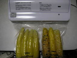 �U�O�㍟�ꂩ��P�T�N