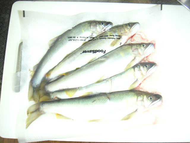 �U�O�㍟�ꂩ��P�T�N