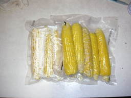 �U�O�㍟�ꂩ��P�T�N