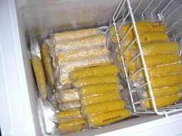 �U�O�㍟�ꂩ��P�T�N