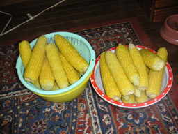 �U�O�㍟�ꂩ��P�T�N