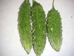 �U�O�㍟�ꂩ��P�T�N