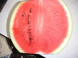 �U�O�㍟�ꂩ��P�T�N