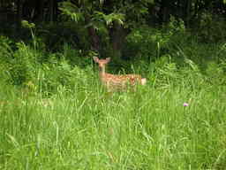 �U�O�㍟�ꂩ��P�T�N