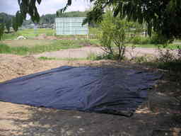 �U�O�㍟�ꂩ��P�T�N