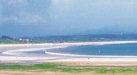 �U�O�㍟�ꂩ��P�T�N