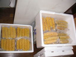 �U�O�㍟�ꂩ��P�T�N