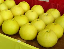 �U�O�㍟�ꂩ��P�T�N