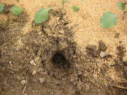 �U�O�㍟�ꂩ��P�T�N