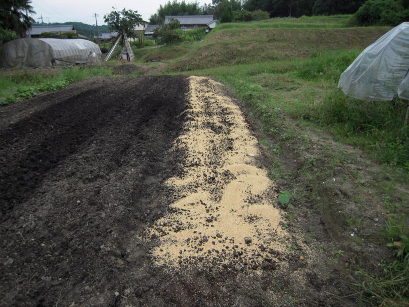 �U�O�㍟�ꂩ��P�T�N