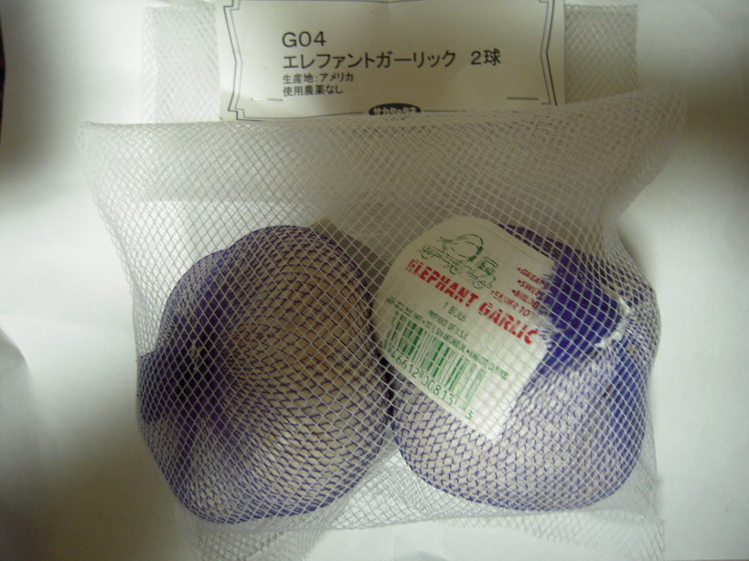 �U�O�㍟�ꂩ��P�T�N