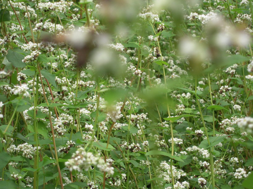 �U�O�㍟�ꂩ��P�T�N