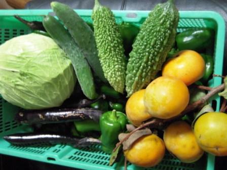 �U�O�㍟�ꂩ��P�T�N