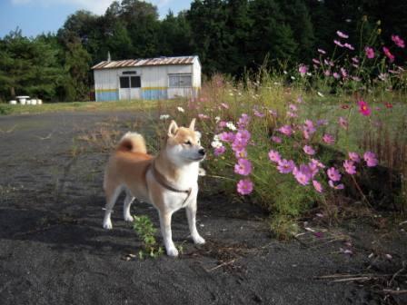 �U�O�㍟�ꂩ��P�T�N