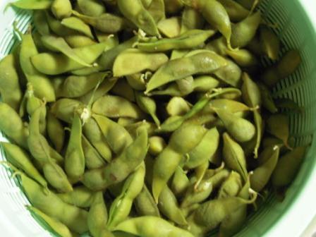 �U�O�㍟�ꂩ��P�T�N