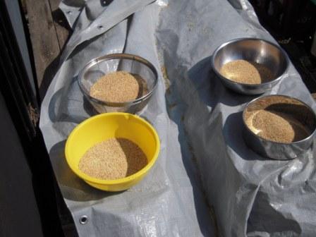 �U�O�㍟�ꂩ��P�T�N