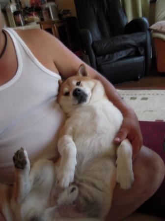 �U�O�㍟�ꂩ��P�T�N