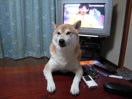 �U�O�㍟�ꂩ��P�T�N