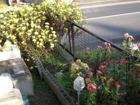 �U�O�㍟�ꂩ��P�T�N