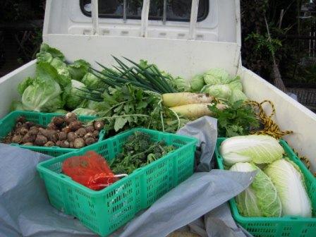 �U�O�㍟�ꂩ��P�T�N