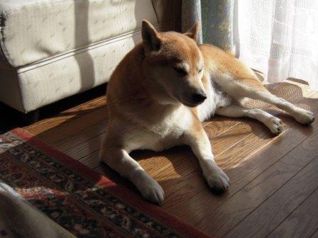 �U�O�㍟�ꂩ��P�T�N