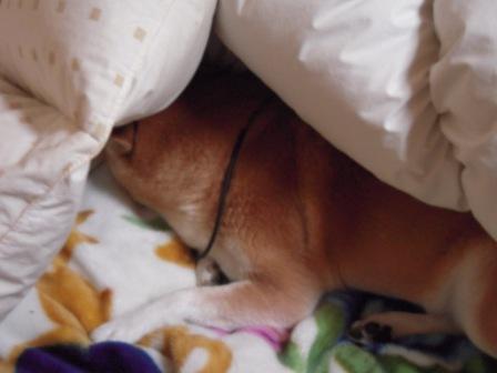 �U�O�㍟�ꂩ��P�T�N