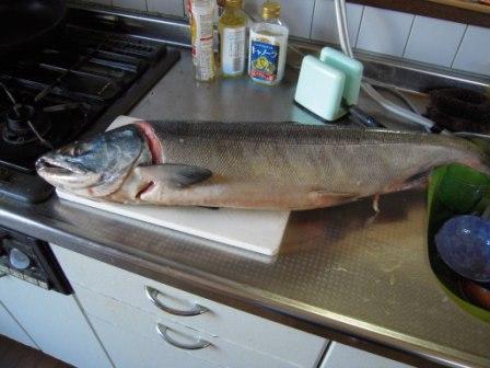 �U�O�㍟�ꂩ��P�T�N