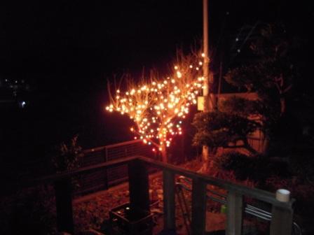 �U�O�㍟�ꂩ��P�T�N