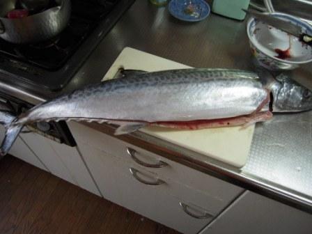 �U�O�㍟�ꂩ��P�T�N