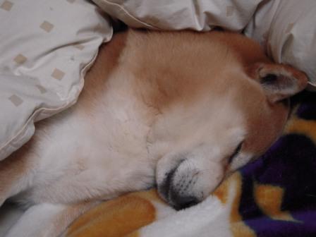 �U�O�㍟�ꂩ��P�T�N