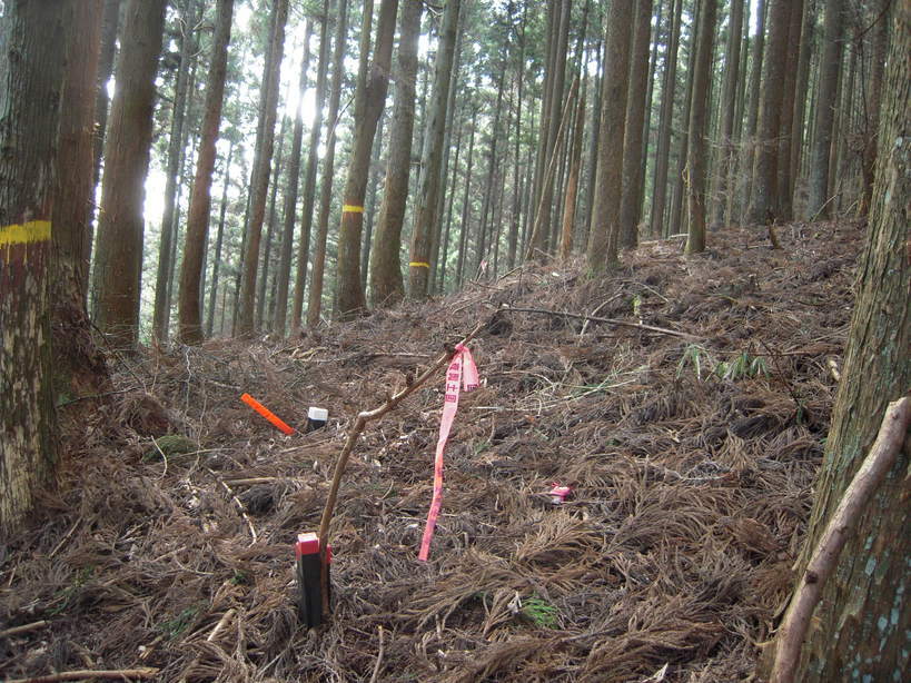 �U�O�㍟�ꂩ��P�T�N