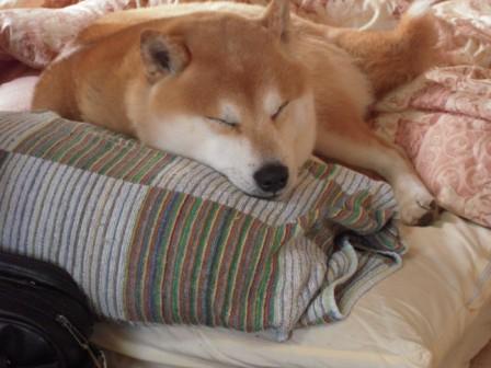 �U�O�㍟�ꂩ��P�T�N