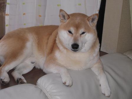 �U�O�㍟�ꂩ��P�T�N